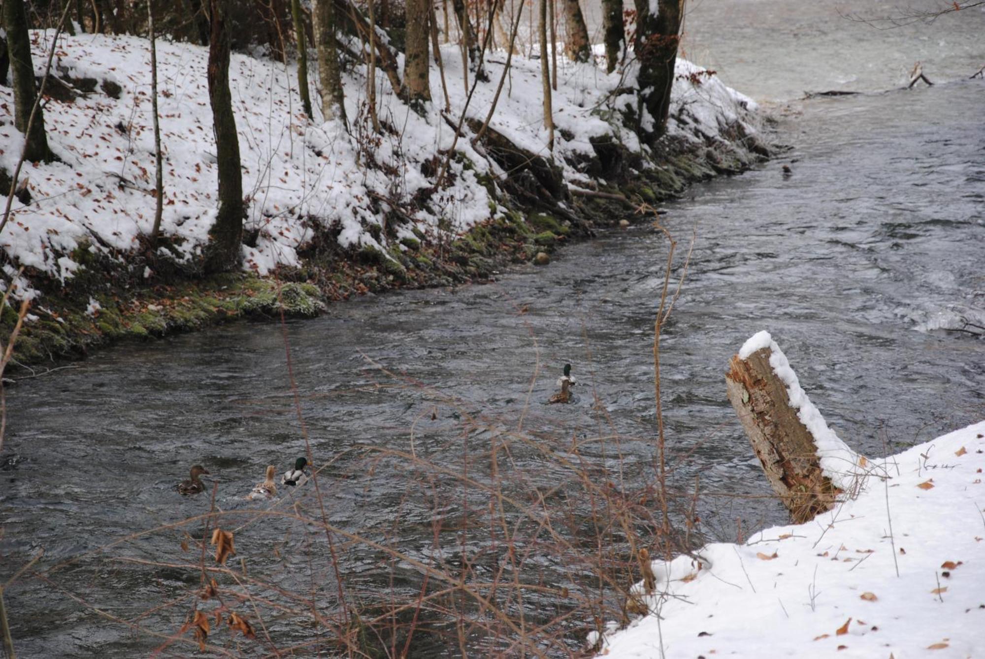 Gaestehaus Schroeder Ruhpolding Exteriör bild