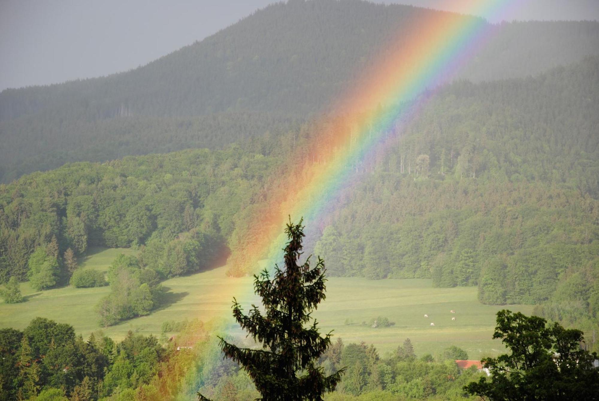 Gaestehaus Schroeder Ruhpolding Exteriör bild