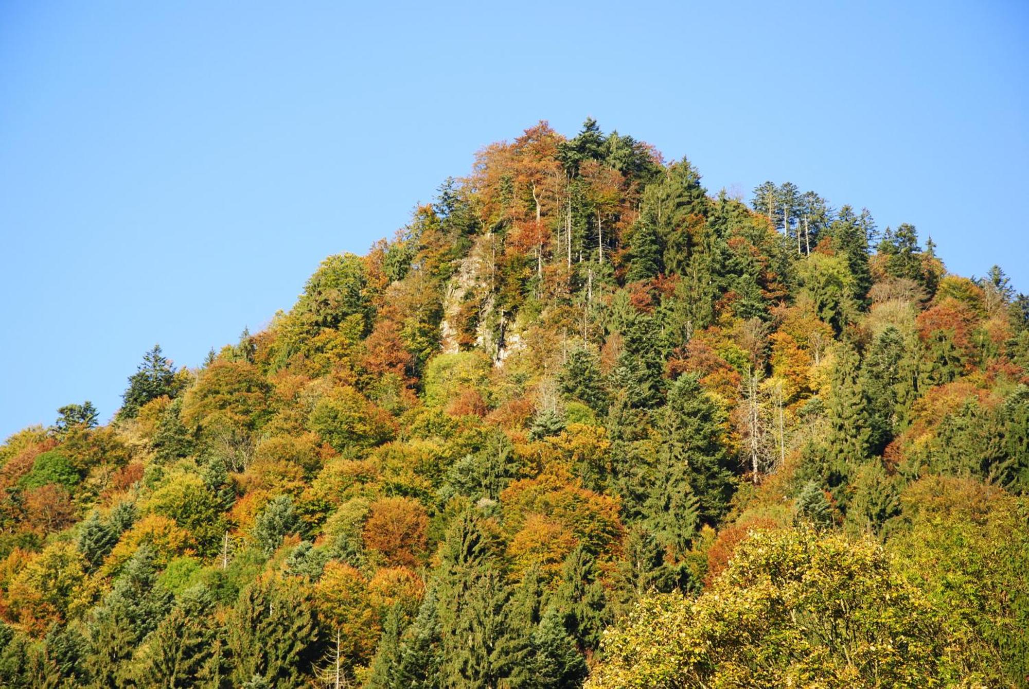 Gaestehaus Schroeder Ruhpolding Exteriör bild